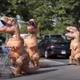 Illustration for article titled Errandosaurus Rex: Dino costumes make grocery shopping more fun